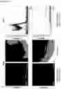 Fig. 28 - STRUCTURED GELS