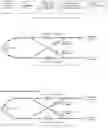 Fig. 07 - SUBARACHNOID FLUID MANAGEMENT METHOD AND SYSTEM WITH VARYING RATES