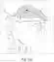 Fig. 02 - NASAL DELIVERY