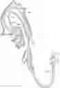 Fig. 01 - GUIDE EXTENSION CATHETER