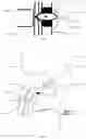 Fig. 04 - URINARY PUMPING DEVICE