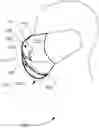Fig. 01 - Air Filter Mask