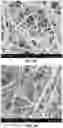 Fig. 07 - Nanofiber filter medium for reusable facemask and filtering facepiece respirator