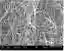 Fig. 01 - PREPARATION METHOD OF CARBON BLACK SYNTHETIC FILTER MATERIALS AND APPLICATION THEREOF
