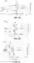 Fig. 02 - Method of printing and implementing refractive X-ray optical components