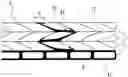 Fig. 01 - METHOD FOR MANUFACTURING TIRE