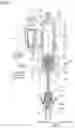 Fig. 03 - Shock absorber and saddle-type vehicle