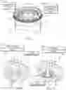 Fig. 02 - Drink cup lid