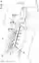 Fig. 05 - Printing apparatus