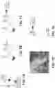 Fig. 08 - HETEROGENEOUS CATALYSTS FOR HYDROGEN GENERATION FROM FORMIC ACID