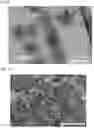 Fig. 06 - Member for continuous production of carbon nanobrush, and method for continuous production of carbon nanobrush