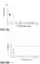 Fig. 05 - Direct graphene transfer and graphene-based devices