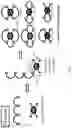 Fig. 02 - Multicyclic Peptides and Methods for Their Preparation