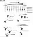 Fig. 02 - AFFINITY LABELING OF DNA-LINKED LIGANDS FOR HIGH THROUGHPUT LIGAND BINDING ASSAYS AND THE USES THEREOF