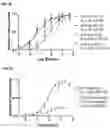 Fig. 09 - AFFINITY LABELING OF DNA-LINKED LIGANDS FOR HIGH THROUGHPUT LIGAND BINDING ASSAYS AND THE USES THEREOF