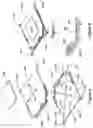Fig. 04 - Sensor shift structures in optical image stabilization suspensions