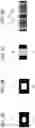 Fig. 06 - INSPECTION APPARATUS, INSPECTION SYSTEM, AND INSPECTION METHOD
