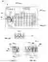 Fig. 02 - Test structure design for metrology measurements in patterned samples