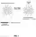 Fig. 02 - Multivalent glycan microarray platform