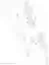 Fig. 06 - Backlight device