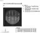 Fig. 23 - Optical system