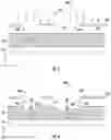 Fig. 07 - DEVICES AND METHODS FOR VARIABLE ETCH DEPTHS