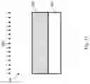 Fig. 12 - Photoresist for semiconductor fabrication