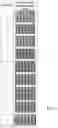 Fig. 03 - COLORED PHOTOSENSITIVE RESIN COMPOSITION AND BLACK MATRIX PREPARED THEREFROM