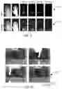 Fig. 03 - Smart Thermal Tracking to Guide Surface Sanitization