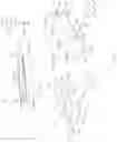 Fig. 07 - Electronic device including flexible display