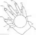 Fig. 01 - Extended reality grasp controller