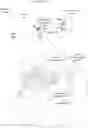 Fig. 01 - Haptic controller