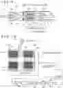 Fig. 09 - Electronic pen