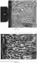 Fig. 03 - Sub-threshold addressing and erasing in a magneto-electrophoretic writing medium
