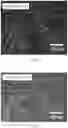 Fig. 05 - Sub-threshold addressing and erasing in a magneto-electrophoretic writing medium