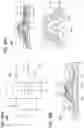 Fig. 41 - Display device and electronic device