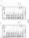 Fig. 09 - Media content detection and management