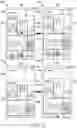 Fig. 04 - Electronic device, method, and computer-readable medium for switchable bar region of user interface