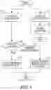 Fig. 05 - Hybrid mobile interactions for native apps and web apps