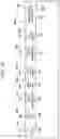 Fig. 16 - Information processing apparatus and non-transitory computer readable medium