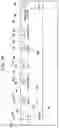 Fig. 17 - Information processing apparatus and non-transitory computer readable medium