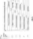 Fig. 10 - Object memory data flow instruction execution