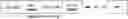 Fig. 01 - Efficient TLP fragmentations in extended LBA environment