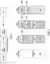 Fig. 02 - Efficient TLP fragmentations in extended LBA environment