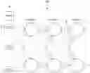 Fig. 01 - Arithmetic apparatus and multiply-accumulate system