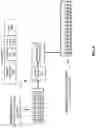 Fig. 27 - APPARATUSES, METHODS, AND SYSTEMS FOR INSTRUCTIONS FOR LOADING DATA AND PADDING INTO A TILE OF A MATRIX OPERATIONS ACCELERATOR