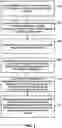 Fig. 04 - SMART SETUP OF ASSISTANT SERVICES
