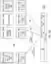 Fig. 19 - Data defined caches for speculative and normal executions