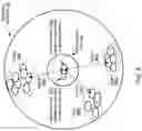 Fig. 09 - Outlier detection for streaming data