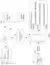 Fig. 03 - Systems and methods for interpreting natural language search queries